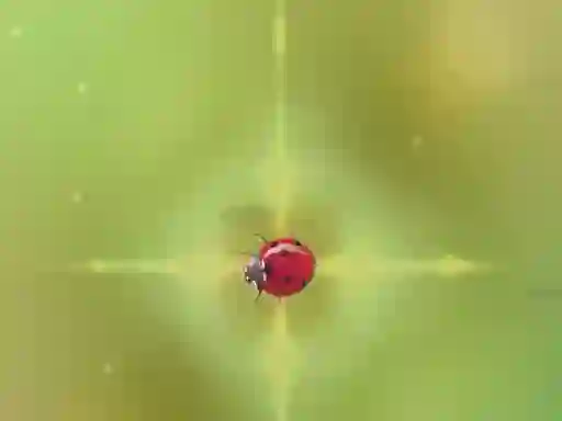 بازی Pest Control آنلاین