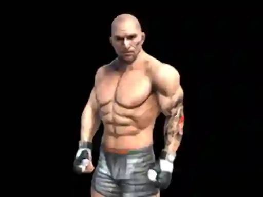 بازی Fight Arena Online آنلاین