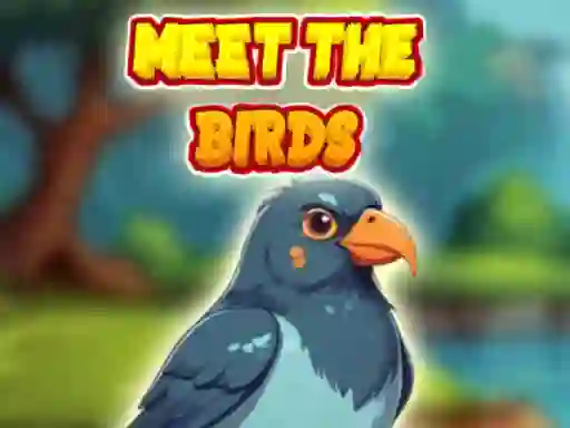 بازی Meet The Birds آنلاین