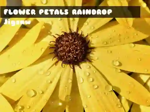 بازی Flower Petals Raindrop Jigsaw آنلاین