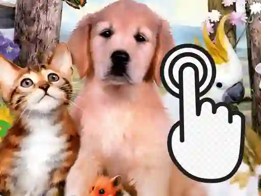 بازی Pets Clicker آنلاین