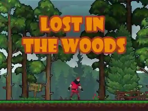 بازی Lost in the Woods آنلاین
