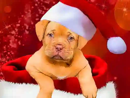 بازی Christmas Dogs Styles آنلاین