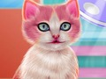 بازی ﺖﺒﻗﺍﺮﻣ ﯽﺘﯿﮐ ﻥﺍﺪﻧﺩ  آنلاین