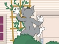 بازی Wasserbomben Wahnsinn :ﯼﺮﺟ ﻭ ﻡﺎﺗ  آنلاین