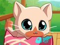 بازی ﻦﻣ ﻪﺑﺮﮔ ﯽﺳ ﯽﭘ ﺖﮐﺎﭘ ﯽﮕﻧﺎﺧ ﻥﺍﻮﯿﺣ ﻪﺑﺮﮔ ﻪﭽﺑ  آنلاین