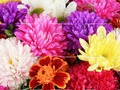 بازی 2019 ﺭﺩﺎﻣ ﺯﻭﺭ ﻝﺯﺎﭘ  آنلاین