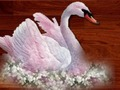 بازی ﻥﺎﮔﺪﻧﺮﭘ ﻝﺯﺎﭘ ﻖﺸﻋ  آنلاین
