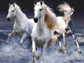 بازی ﺎﻬﺒﺳﺍ  آنلاین