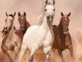بازی ﻝﺯﺎﭘ ﺐﺳﺍ  آنلاین