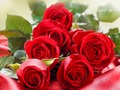 بازی ﺰﻣﺮﻗ ﯼﺎﻫ ﺯﺭ  آنلاین