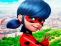 بازی LadyBug ﯽﯾﻮﻣ ﻩﺭﺍ ﯼﺭﺎﮐ ﺖﺒﻨﻣ ﻩﺭﺍ ﻪﻋﻮﻤﺠﻣ  آنلاین