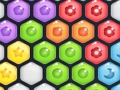بازی Hexa Puzzle ﻦﯾﺮﯿﺷ ﺕﺎﺒﻧ ﺏﺁ  آنلاین