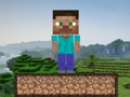 بازی Minecraft Survival ﯼﺯﺎﺑ  آنلاین