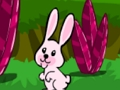 بازی Hopping ﺭﺍﺮﻓ ﺵﻮﮔﺮﺧ  آنلاین