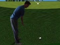 بازی 3D ﻒﻠﮔ ﺶﻠﻓ  آنلاین
