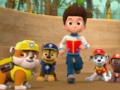 بازی Paw Patrol ﯽﯾﻮﻣ ﻩﺭﺍ ﯼﺭﺎﮐ ﺖﺒﻨﻣ ﻩﺭﺍ ﻝﺯﺎﭘ  آنلاین