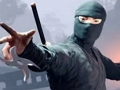 بازی ﺪﯿﻧﺰﺑ ﻪﺑﺮﺿ Ninja ﯼﻭﺭ  آنلاین