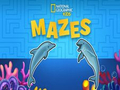 بازی Nat Geo Kids ﯼﺎﻫ ﭻﯿﭘﺭﺎﻣ  آنلاین