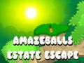 بازی Amasteballs ﮎﻼ﻿ﻣﺍ ﺯﺍ ﺭﺍﺮﻓ آنلاین