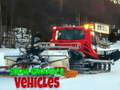 بازی Snow Groomer ﻪﯿﻠﻘﻧ ﻞﯾﺎﺳﻭ  آنلاین