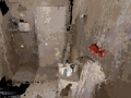 بازی ﻝﻮﻐﺸﻣ  آنلاین