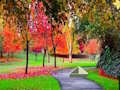 بازی ﻪﻧﺍﻭﺮﭘ ﻩﺩﺍﻮﻧﺎﺧ ﺭﺍﺮﻓ  آنلاین