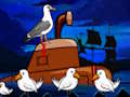 بازی Laridae ﺕﺎﺠﻧ  آنلاین