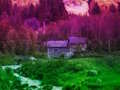 بازی ﮓﻧﺭﺎﮕﻧﺭ ﯽﻧﺎﺘﺴﻫﻮﮐ ﻩﺮﻈﻨﻣ ﺯﺍ ﺭﺍﺮﻓ  آنلاین