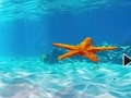 بازی ﺏﺁ ﺮﯾﺯ ﯽﯾﺎﯾﺭﺩ ﻩﺭﺎﺘﺳ ﺯﺍ ﺭﺍﺮﻓ  آنلاین