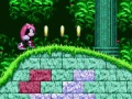 بازی Mighty & Ray ﺭﺩ Sonic 2  آنلاین