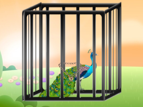 بازی ﺪﯿﻫﺩ ﺕﺎﺠﻧ ﺍﺭ ﯽﺸﺑﺎﺗ ﺱﻭﻭﺎﻃ  آنلاین