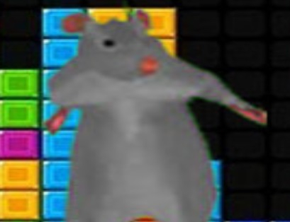 بازی Ratomilton ﻁﻮﻘﺳ ﯼﺎﻫ ﮎﻮﻠﺑ  آنلاین