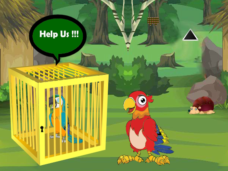بازی Macaw Trapped ﻖﯿﻓﺭ ﻥﺩﺮﮐ ﺎﻫﺭ آنلاین