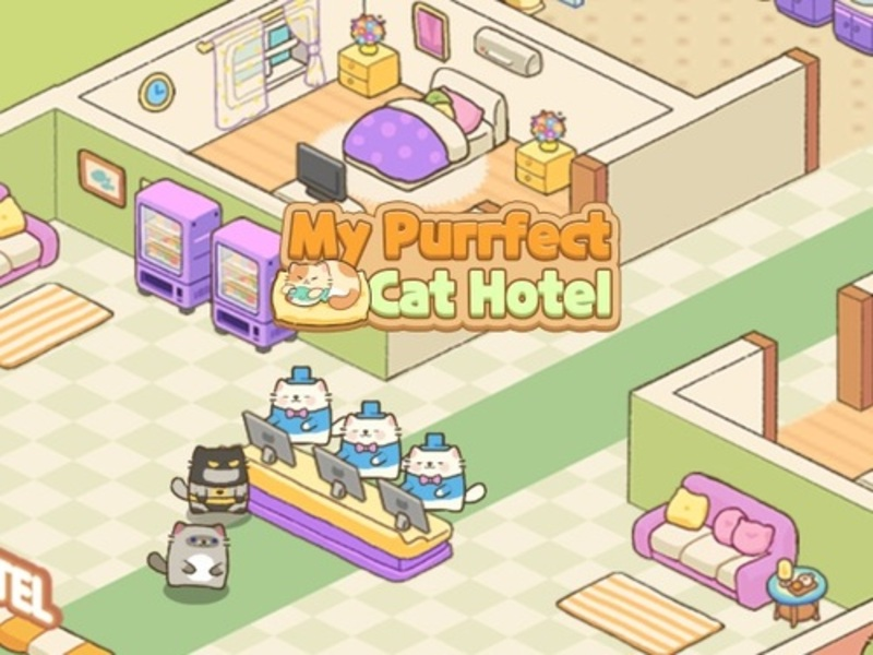 بازی ﻦﻣ Purrfect ﻪﺑﺮﮔ ﻞﺘﻫ آنلاین